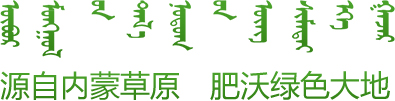 公司介绍